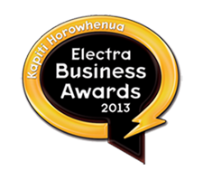 Electra Business Award 2013